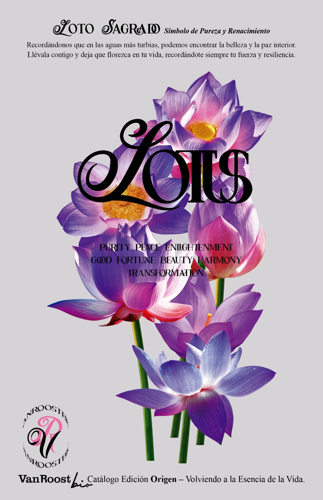 Flor De Loto