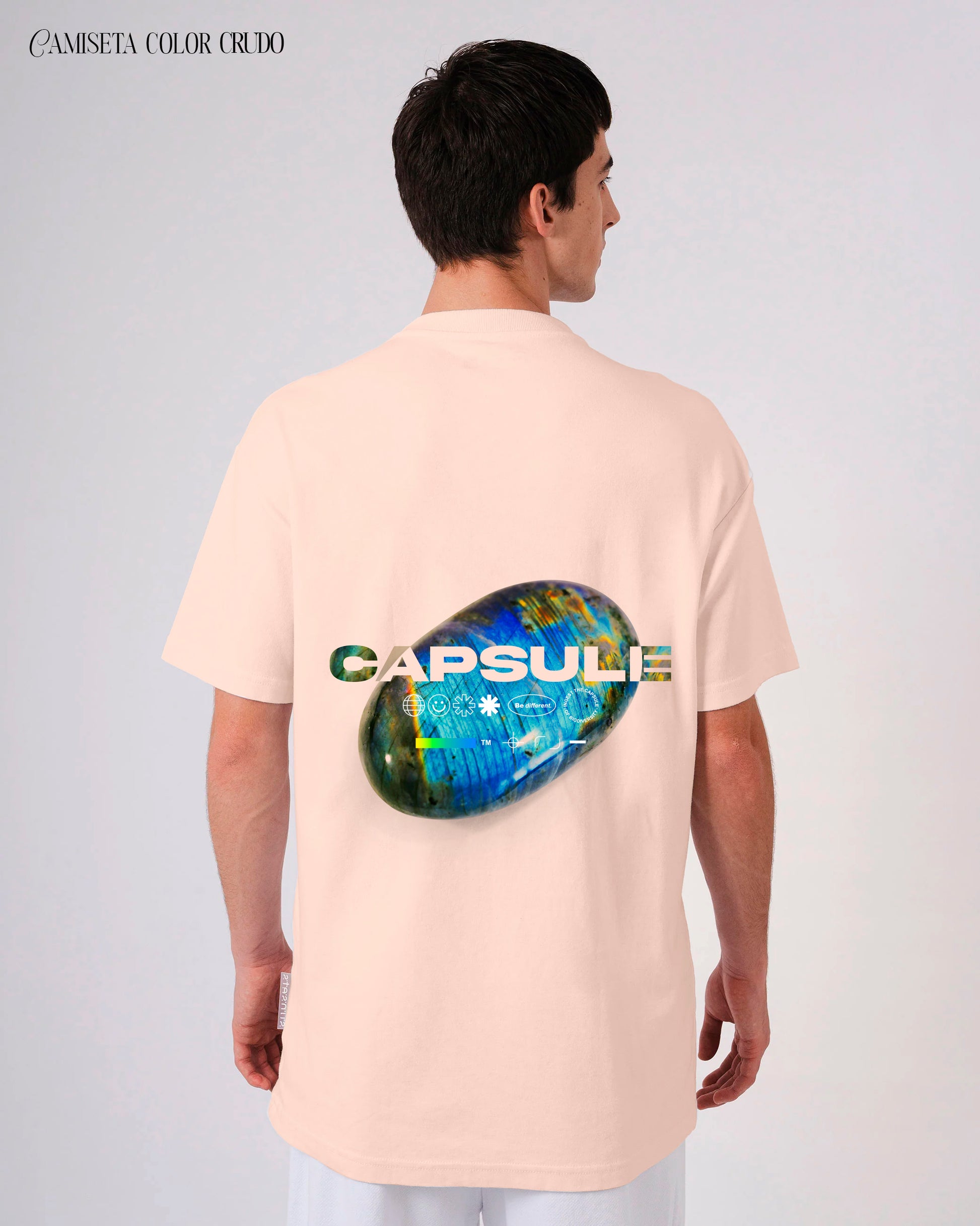 Capsula