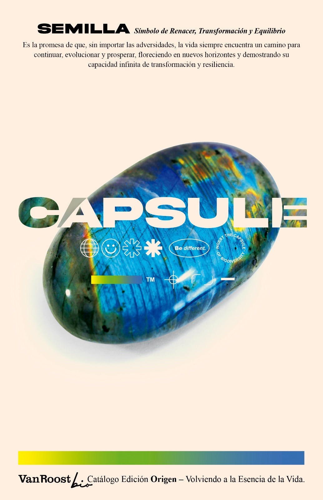 Capsula